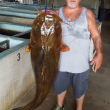 Поймав крупного сома, рыболов установил рекорд штата
