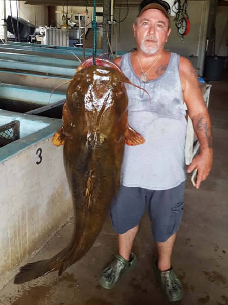 Поймав крупного сома, рыболов установил рекорд штата
