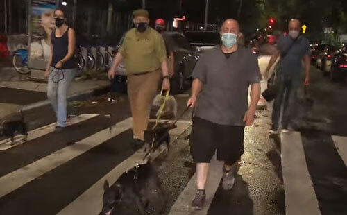 Владельцы собак объединились в ночной патруль по борьбе с крысами