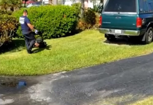 Дедушка не смог подстричь траву на газоне, но получил помощь от пожарных