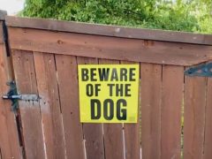Незваным визитёрам стоит опасаться потусторонней собаки