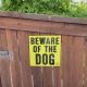 Незваным визитёрам стоит опасаться потусторонней собаки