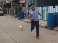Прогуливавшийся мужчина подвергся нападению злобной курицы
