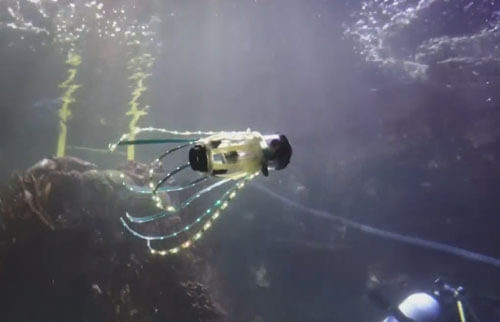Робот-кальмар умеет плавать под водой и снимать морских обитателей
