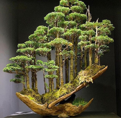 Художник не сажает деревья-бонсай, а создаёт целые бонсай-леса