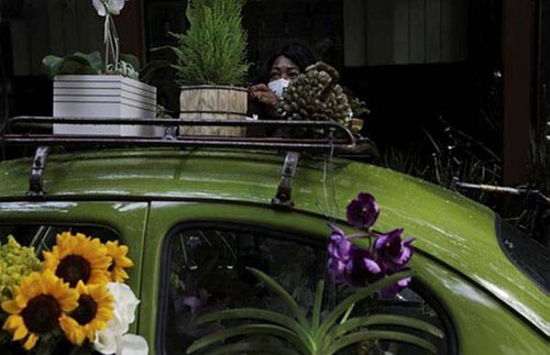 Чтобы заработать деньги, женщина превратила машину в цветочный магазин
