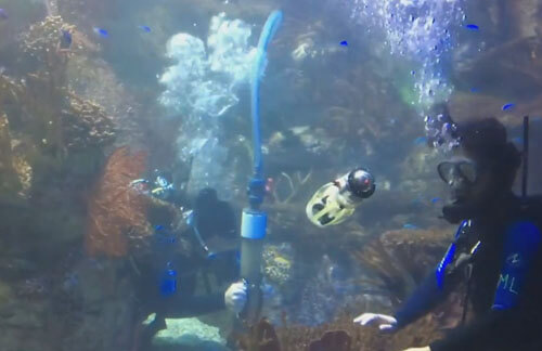 Робот-кальмар умеет плавать под водой и снимать морских обитателей