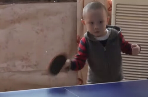 Малыш увлёкся пинг-понгом и уже может стать конкурентом иным взрослым игрокам