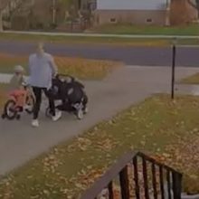 Ситуация с тремя детьми «на колёсах» едва не вышла из-под контроля