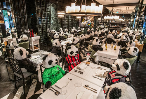 Игрушечные панды помогли ресторатору устроить тихий протест