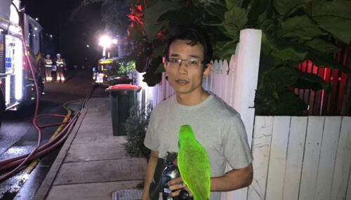 Бдительный попугай спас хозяина от пожара