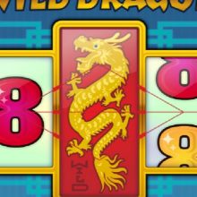 Обзор игрового автомата 88 Wild Dragon