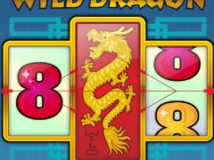 Обзор игрового автомата 88 Wild Dragon