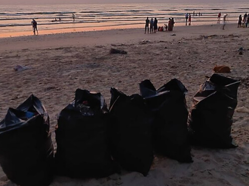 Вместо медового месяца супруги начали убирать мусор с пляжа