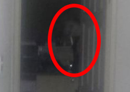 Страшная фигура, шумевшая на кухне, была сфотографирована жильцом