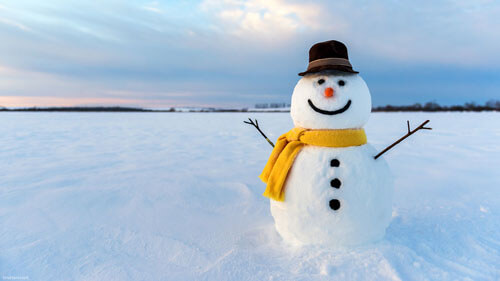 Глава школьного совета порекомендовала ученикам заняться лепкой снеговиков
