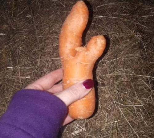 Попытавшись продать неприличную морковку, женщина убедилась, что чувство юмора есть не у всех