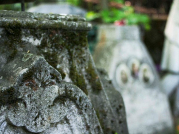 Заговор на лягушку, заколдованный кот и дом у кладбища: приметы и байки риелторов