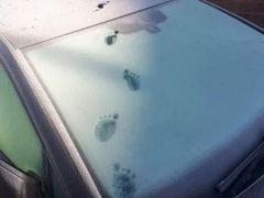 Неизвестное существо прошлось по автомобилю и оставило на нём странные следы