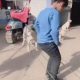 Собака помогает детям играть в резиночку