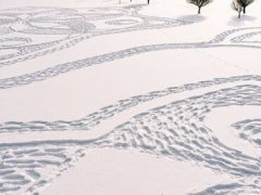 Добровольцы в снегоступах вытоптали на гольф-поле узор