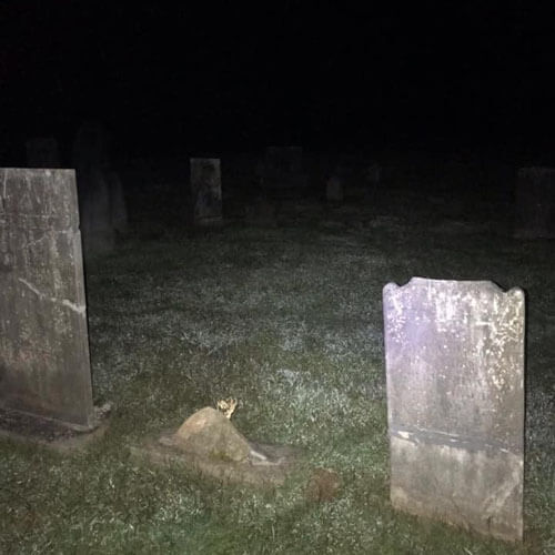 Во время ночного посещения кладбища любитель старины сфотографировал призрака