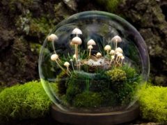 Грибная иллюминация: художница из Иванова создает уникальные светильники в виде грибов