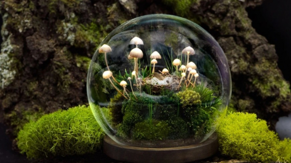 Грибная иллюминация: художница из Иванова создает уникальные светильники в виде грибов