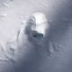 Странный отпечаток в снегу был сделан охотящейся совой