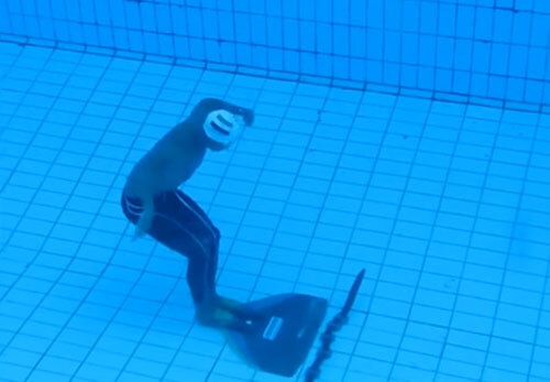 Пловец, выпрыгнувший из воды, побил мировой рекорд