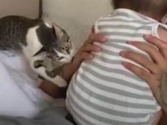 Кошка готова защищать маленького хозяина даже от его родного отца