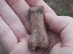 Исследователь уверен, что нашёл окаменелый палец снежного человека