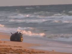 Патрулируя пляж, полицейский обнаружил морскую мину