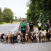 Отправившись на прогулку с 55 собаками, мужчина попытался побить мировой рекорд