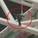Девушку, устроившую танцы на мосту, приняли за самоубийцу
