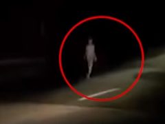 Странный инопланетянин прогулялся по дороге