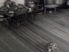Призрак, играющий в мячик, был снят камерой видеонаблюдения