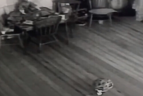Призрак, играющий в мячик, был снят камерой видеонаблюдения