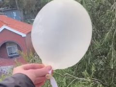 Воздушные шарики официально оказались под запретом