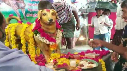 Хозяин почтил память своей умершей собаки с помощью бронзовой статуи
