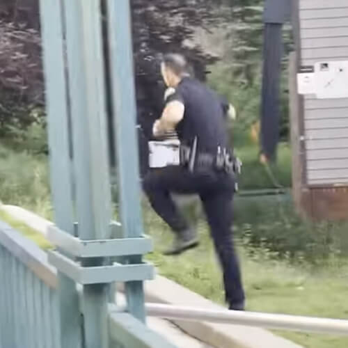 Полицейский не побоялся прогнать медведя обратно в лес