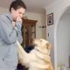 Служебный пёс всегда поможет своей хозяйке, страдающей от аутизма