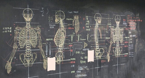 Молодой преподаватель прославился благодаря анатомическим рисункам на доске