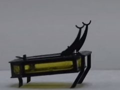 Робот-жук признан самым лёгким в мире