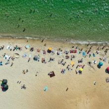 Купающиеся разбежались из воды из-за таинственного крупного существа