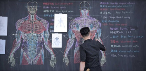 Молодой преподаватель прославился благодаря анатомическим рисункам на доске