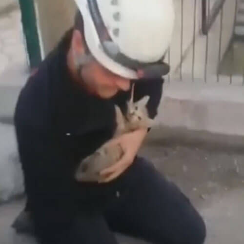 Добросердечный пожарный сумел реанимировать котёнка