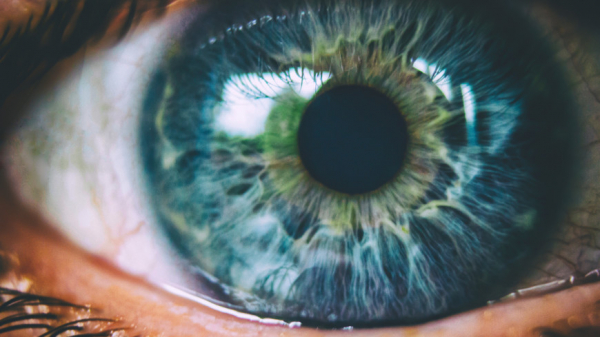 «Сначала проходит бессимптомно, а потом приводит к слепоте»: как предотвратить заболевания сетчатки и сохранить зрение?