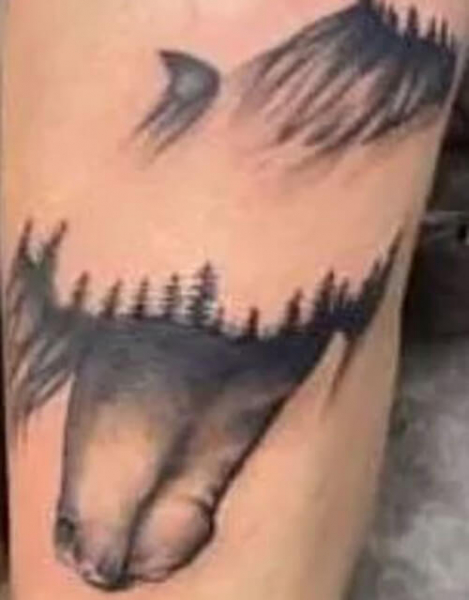 Татуировка с рисунком лошади получилась слишком грубой