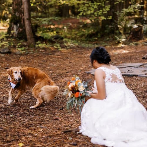 Невеста начала свадебную фотосессию не с женихом, а с любимым псом